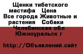 Щенки тибетского мастифа › Цена ­ 80 - Все города Животные и растения » Собаки   . Челябинская обл.,Южноуральск г.